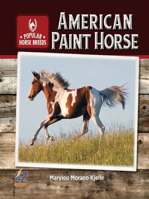 cover image of American Paint Horse